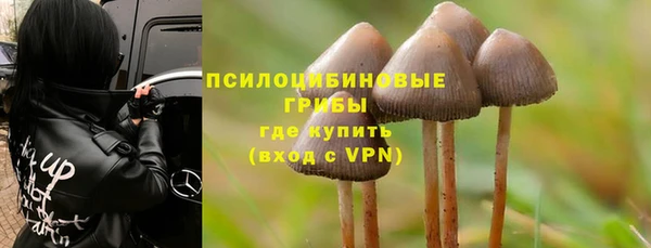 мдпв Нягань