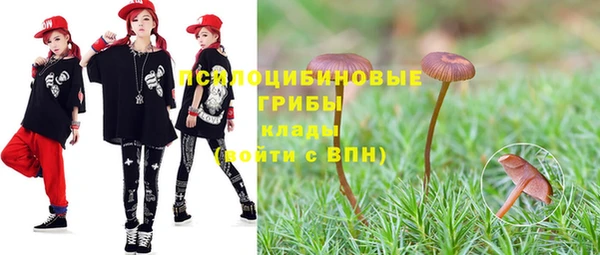 стаф Нязепетровск