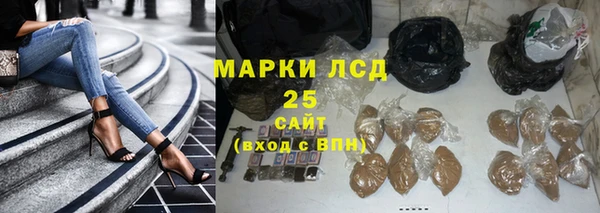 прущие крисы Новодвинск