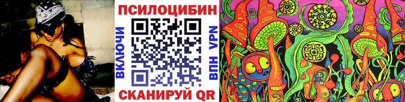 OMG как зайти  Корсаков  Галлюциногенные грибы Psilocybine cubensis 