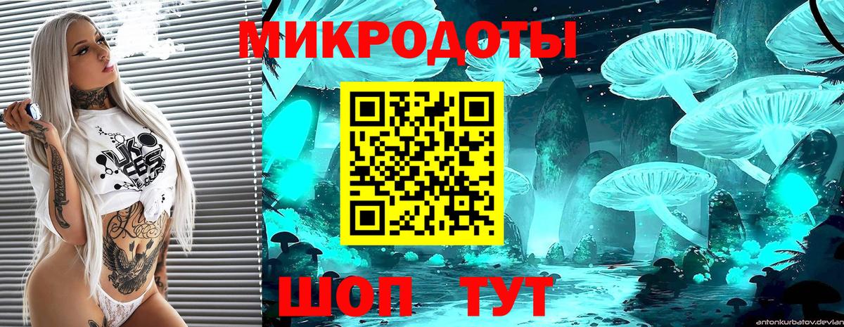 Псилоцибиновые грибы GOLDEN TEACHER  Корсаков 