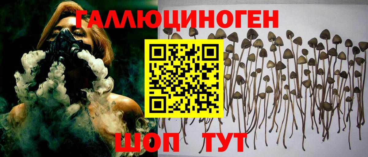 Псилоцибиновые грибы мицелий Корсаков