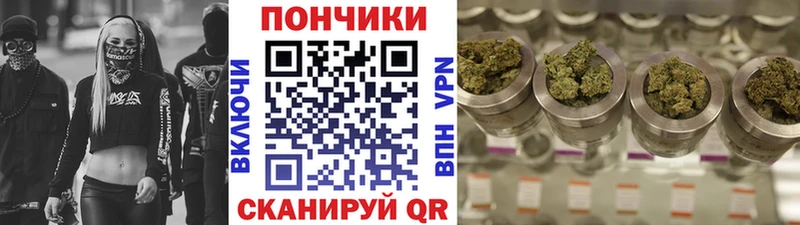 Конопля SATIVA & INDICA как найти наркотики Корсаков